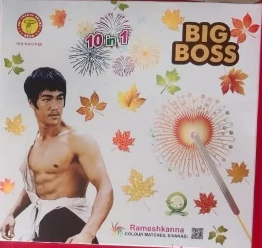 Big Boss 10 in 1