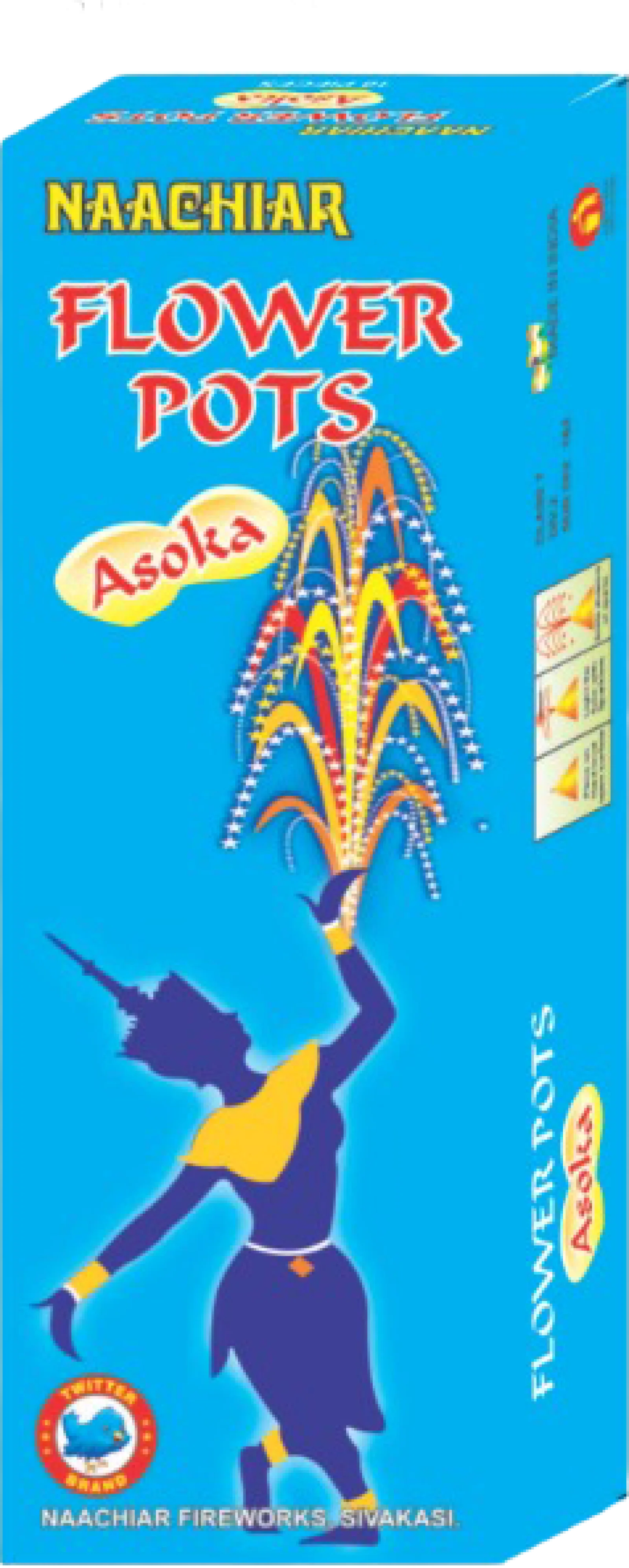 Flower Pots Asoka