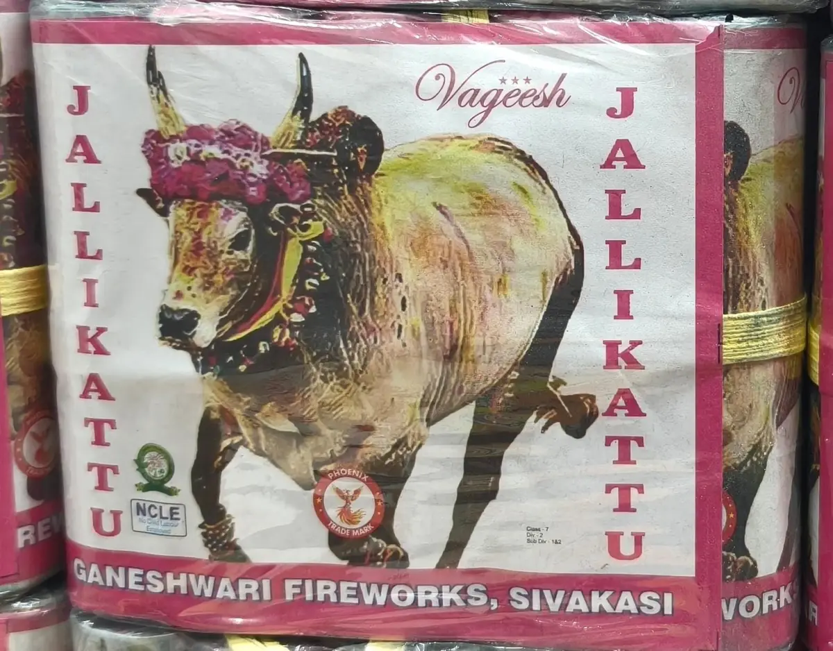 Jallikattu Big